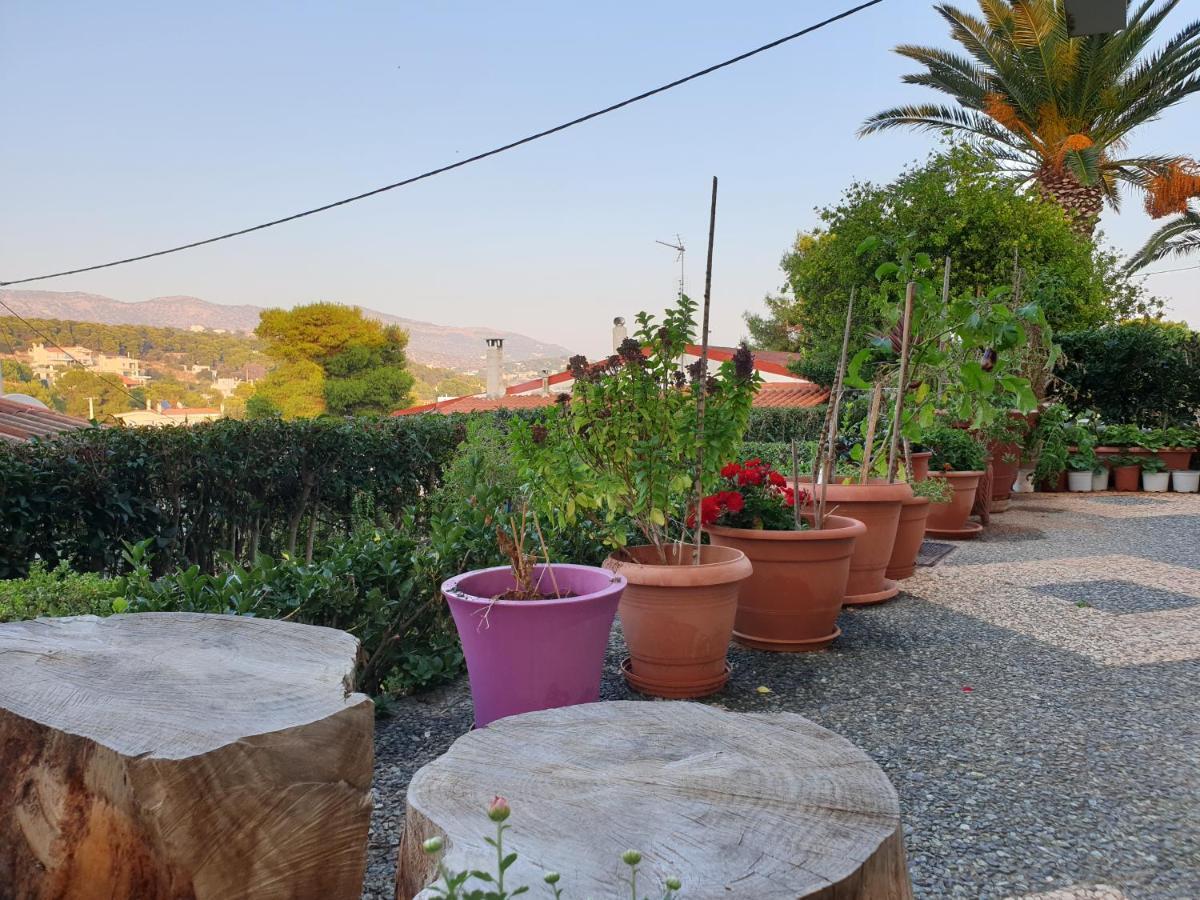 Vaso'S Country House Near The Beach And Airport Porto Rafti Luaran gambar